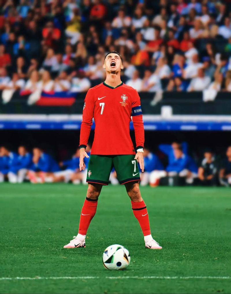 这段经历都 这段经历都